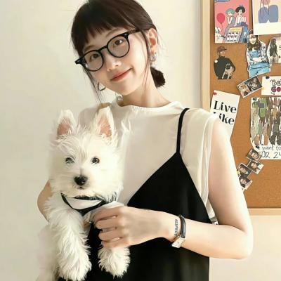 空中浩劫第十六季